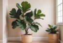 Dicas Para Decorar Com Plantas